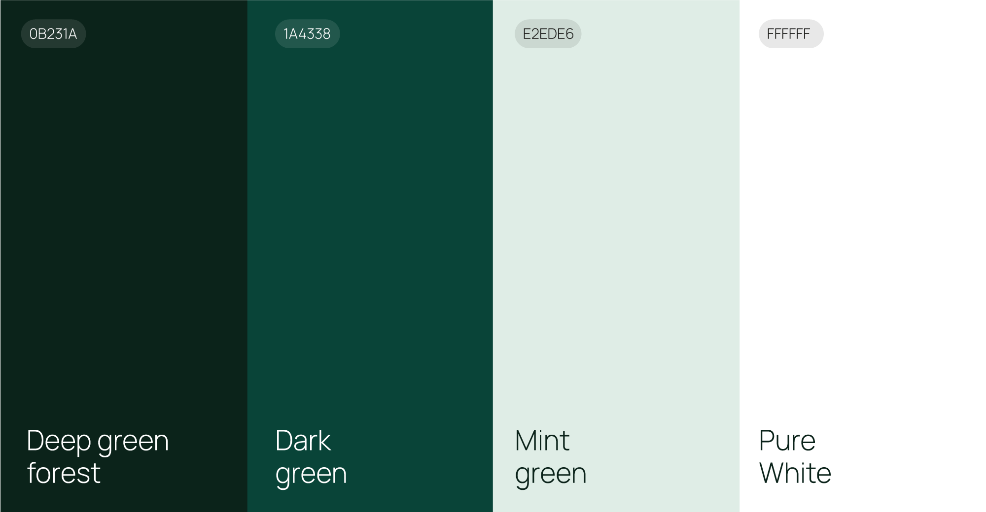 aldaba studio paleta de colores